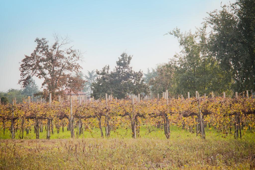 Willa Agriturismo Pituello Talmassons Zewnętrze zdjęcie